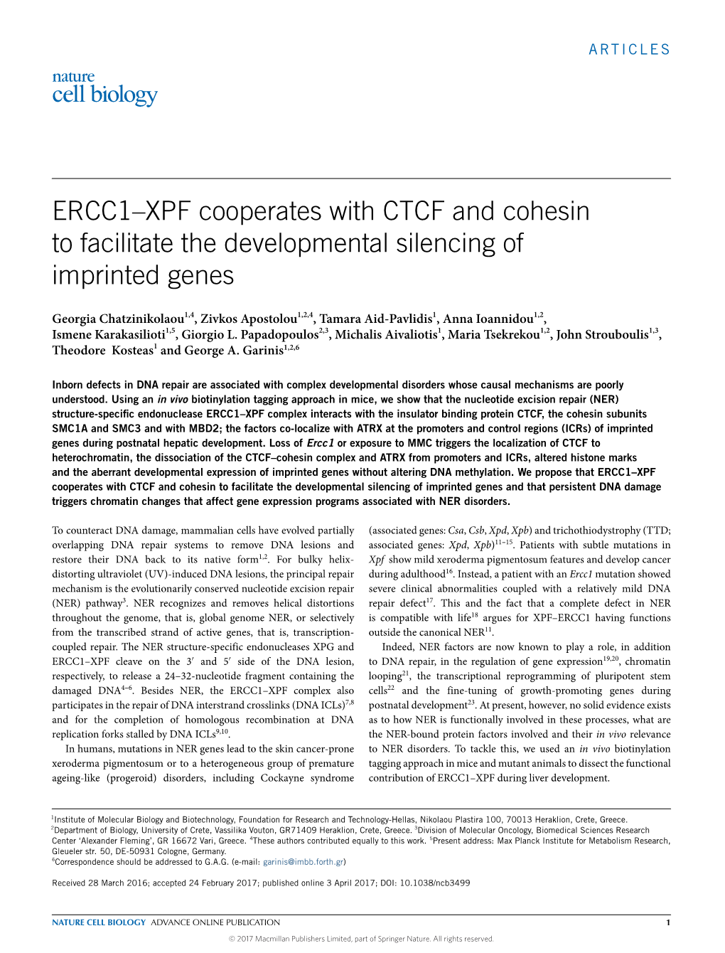 ERCC1–XPF Cooperates with CTCF and Cohesin to Facilitate the Developmental Silencing of Imprinted Genes