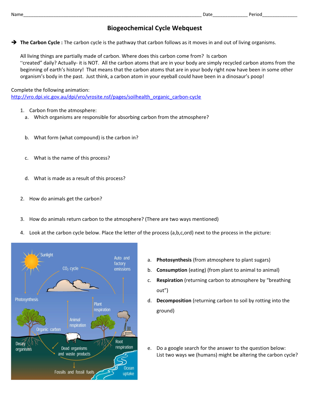 Biogeochemical Cycle Webquest s1