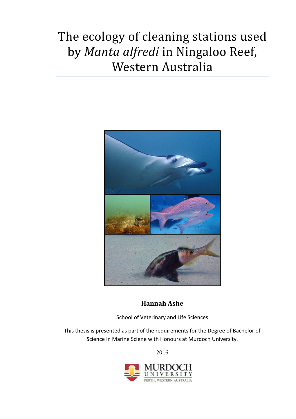 The Ecology of Cleaning Stations Used by Manta Alfredi in Ningaloo Reef, Western Australia