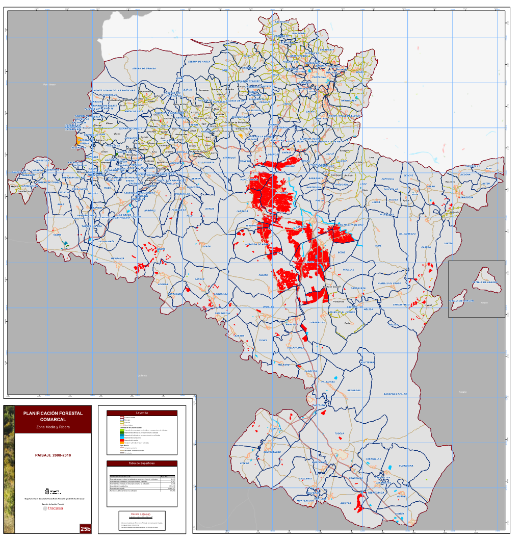 Paisaje 2008-2010 Planificación Forestal Comarcal