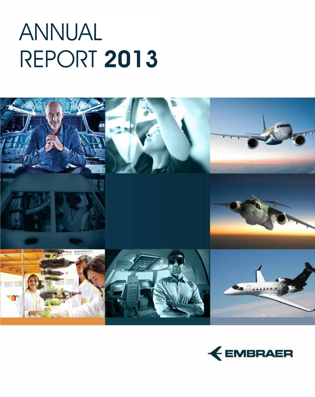 Annual Report 2013