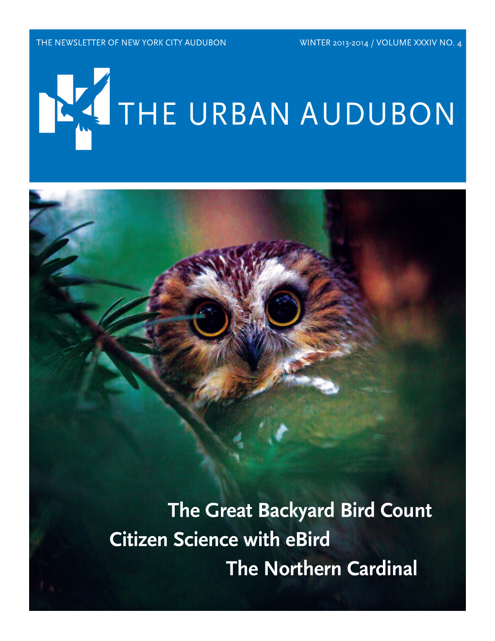 The Urban Audubon