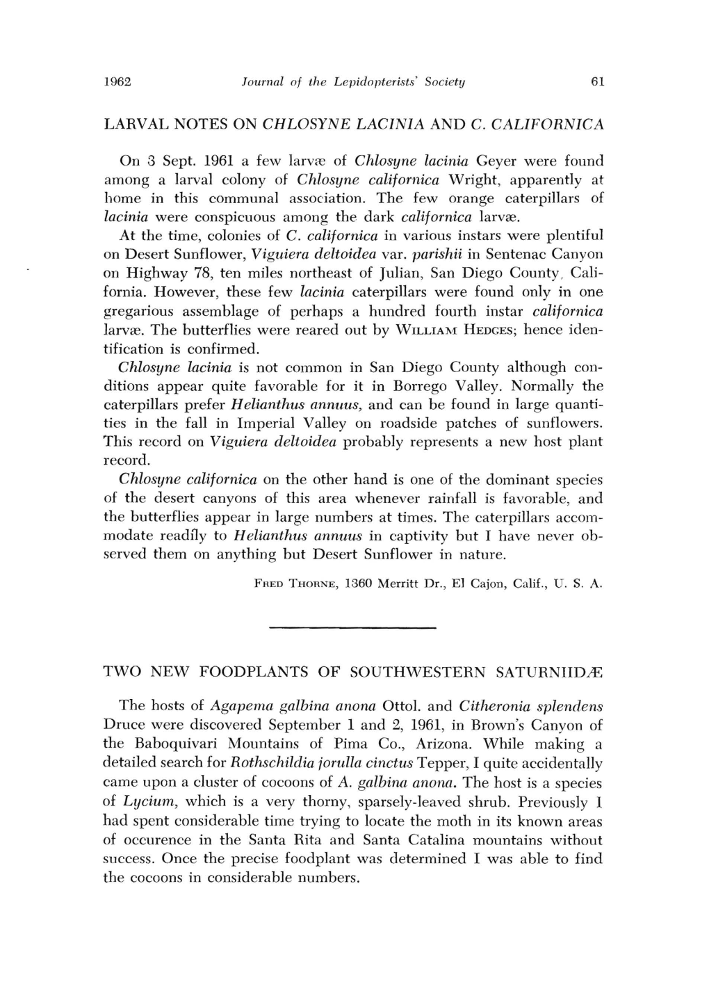 LARVAL NOTES on CHLOSYNE LACINIA and C. Callfornica on 3 Sept. 1961 a Few Larv:E of Chlosyne Lacinia Geyer Were Found Among a La