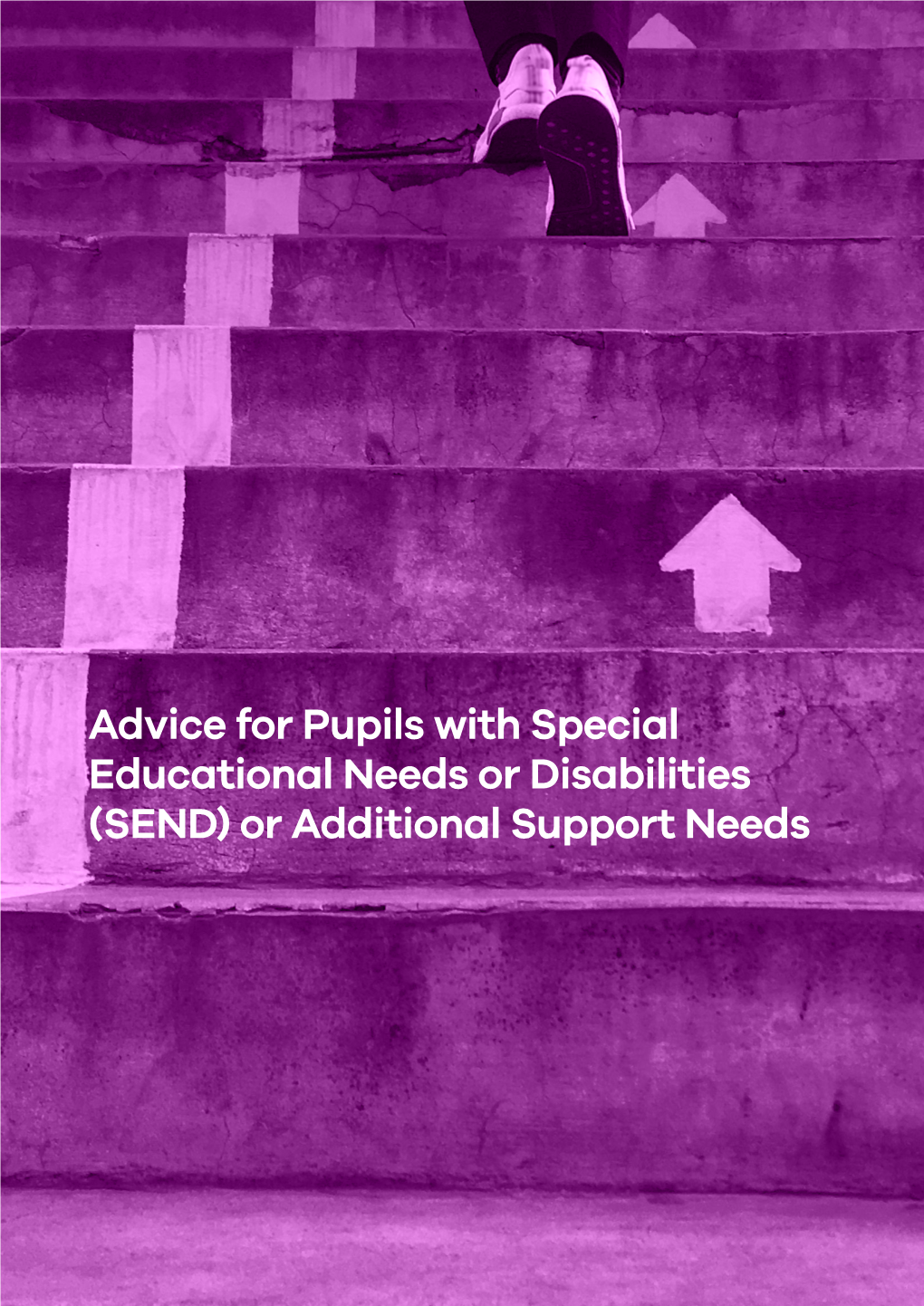 Advice for Pupils with Special Educational Needs Or Disabilities (SEND) Or Additional Support Needs 2 for Young People with Additional Support Needs