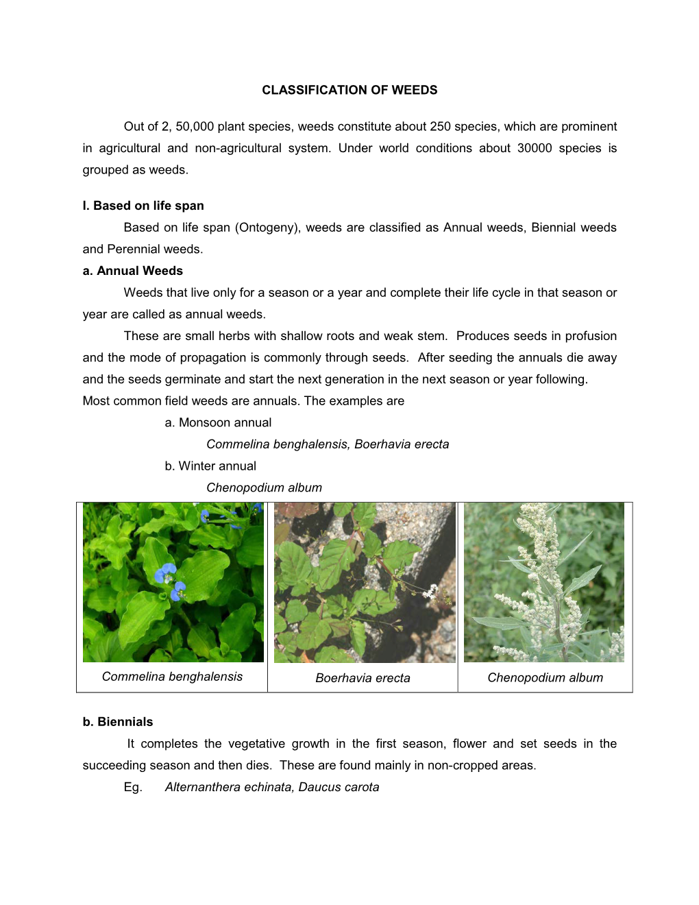 Classification of Weeds