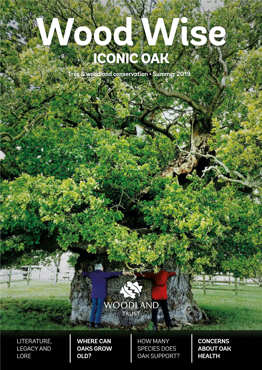 ICONIC OAK Tree & Woodland Conservation • Summer 2019