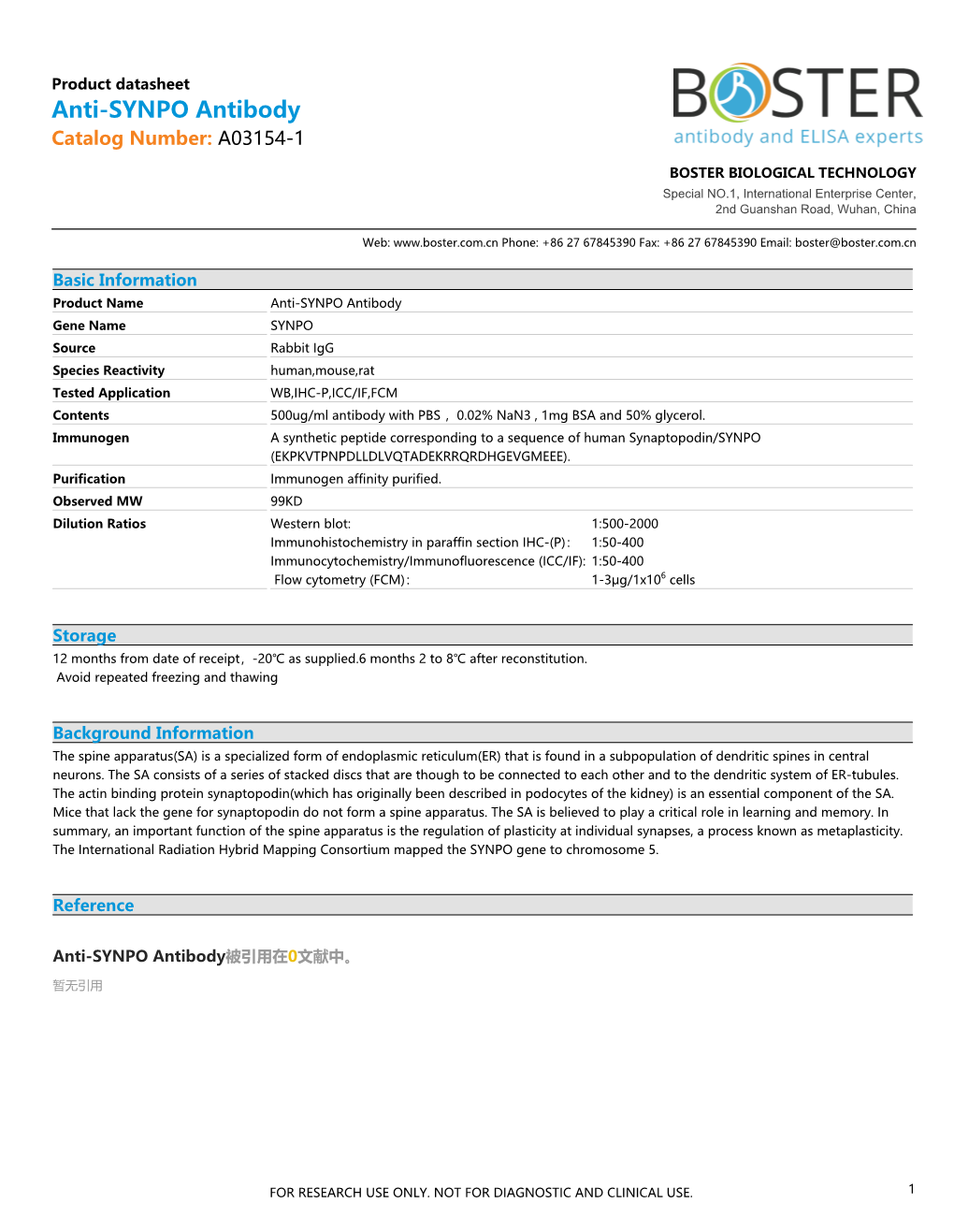 Datasheet A03154-1 Anti-SYNPO Antibody