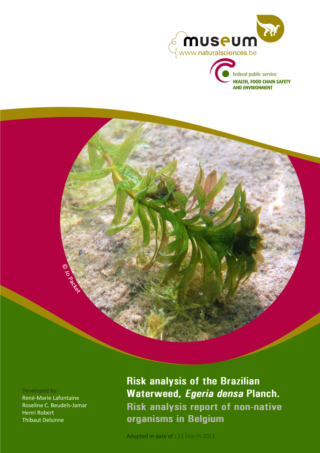 Risk Analysis Report of Non-Native Organisms in Belgium