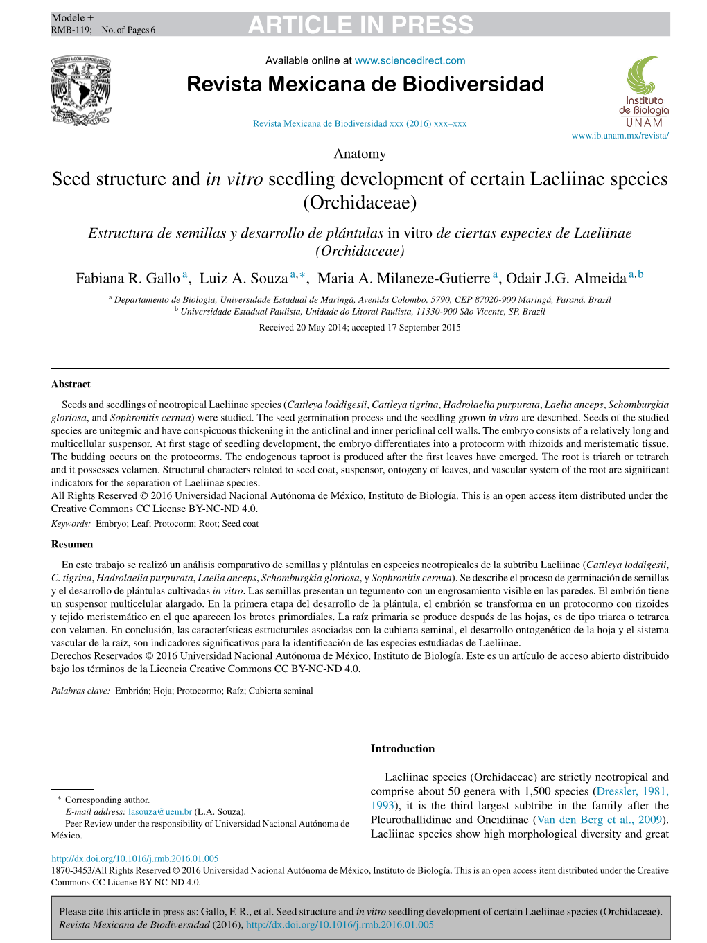 Seed Structure and in Vitro Seedling Development of Certain Laeliinae Species (Orchidaceae)