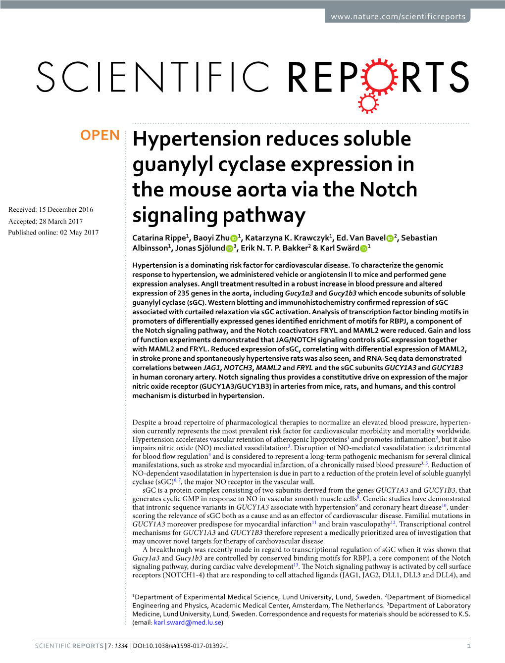 Hypertension Reduces Soluble Guanylyl Cyclase Expression in The