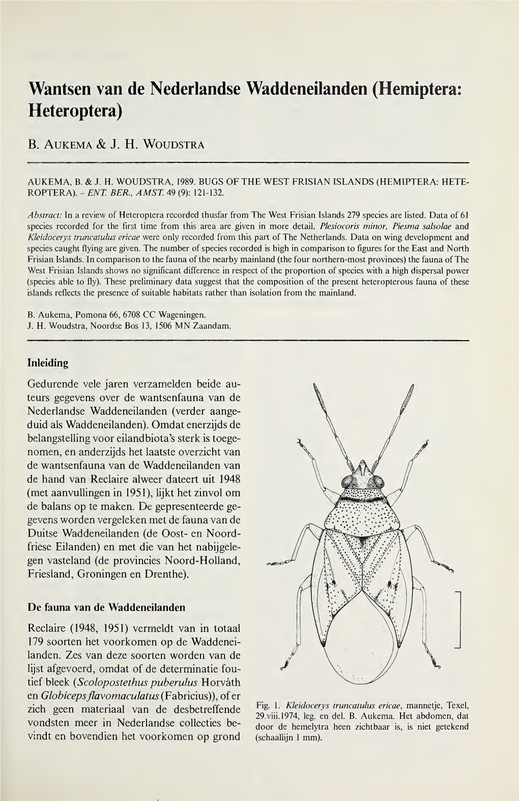 Hemiptera: Heteroptera)
