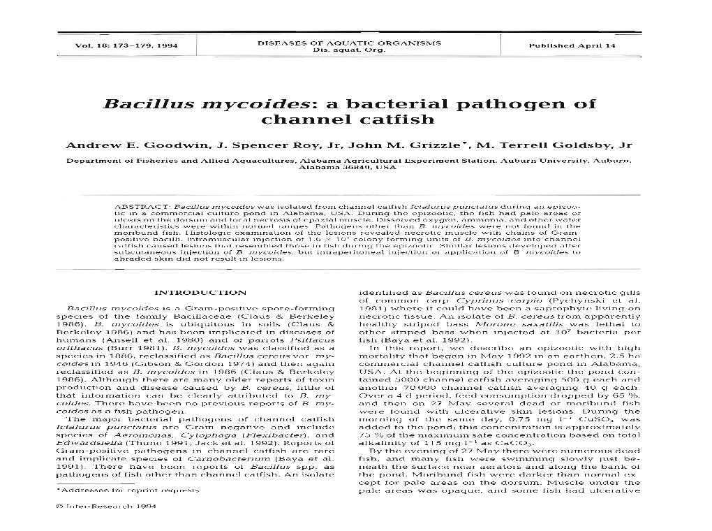 Bacillus Mycoides Was Isolated from Channel Catfish Ictaluruspunctatus During an Epizoo- Tic in a Commercial Culture Pond in Alabama, USA