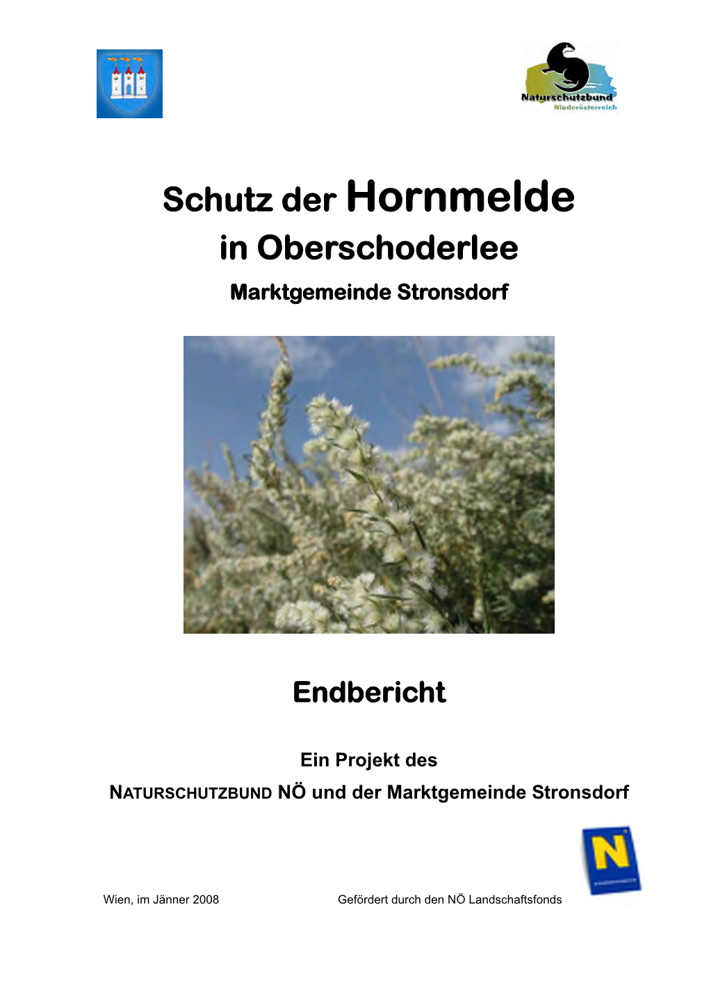 Schutz Der Hornmelde in Oberschoderlee Marktgemeinde Stronsdorf