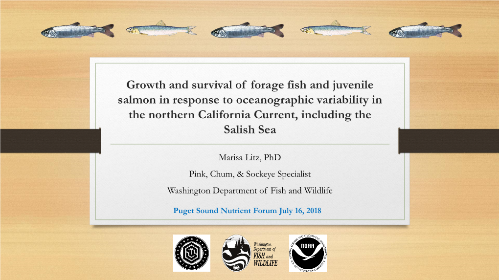 Growth and Survival of Forage Fish and Juvenile Salmon in Response to Oceanographic Variability in the Northern California Current, Including the Salish Sea