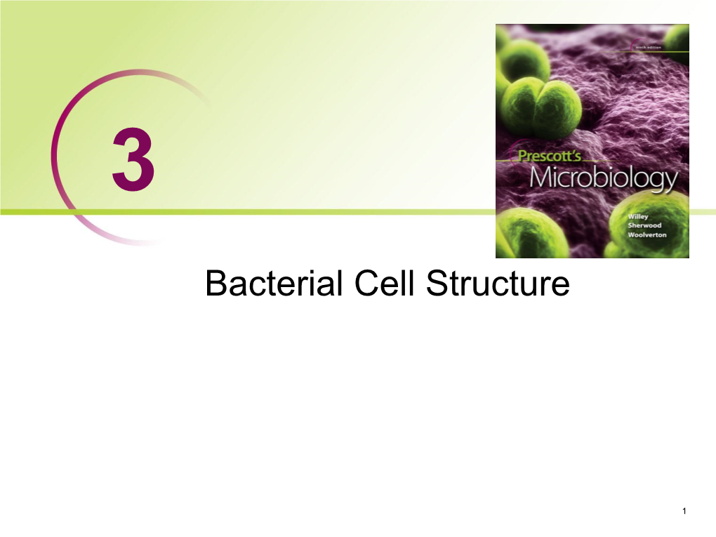 Bacterial Cell Walls