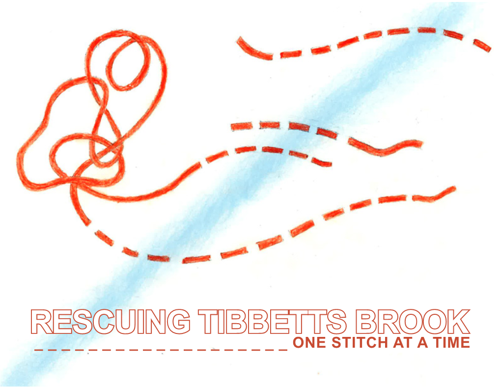 RESCUING TIBBETTS BROOK ______ONE STITCH ONE STITCH at AAT TIMEA TIME Rescuing Tibbetts Brook Mary Miss