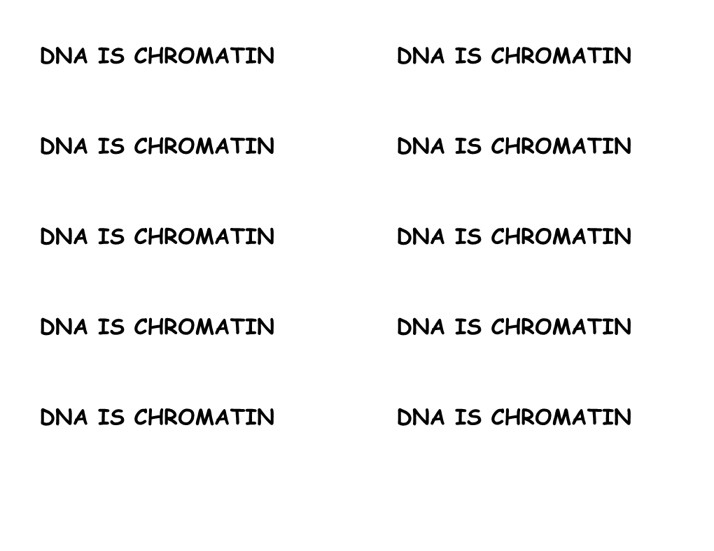 Dna Is Chromatin Dna Is Chromatin