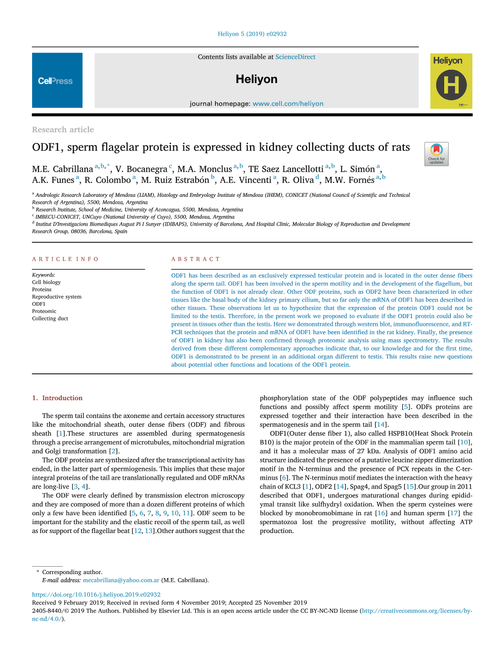 ODF1, Sperm Flagelar Protein Is Expressed in Kidney Collecting Ducts