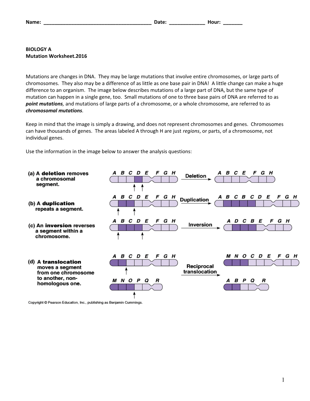 Mutation Worksheet.2016