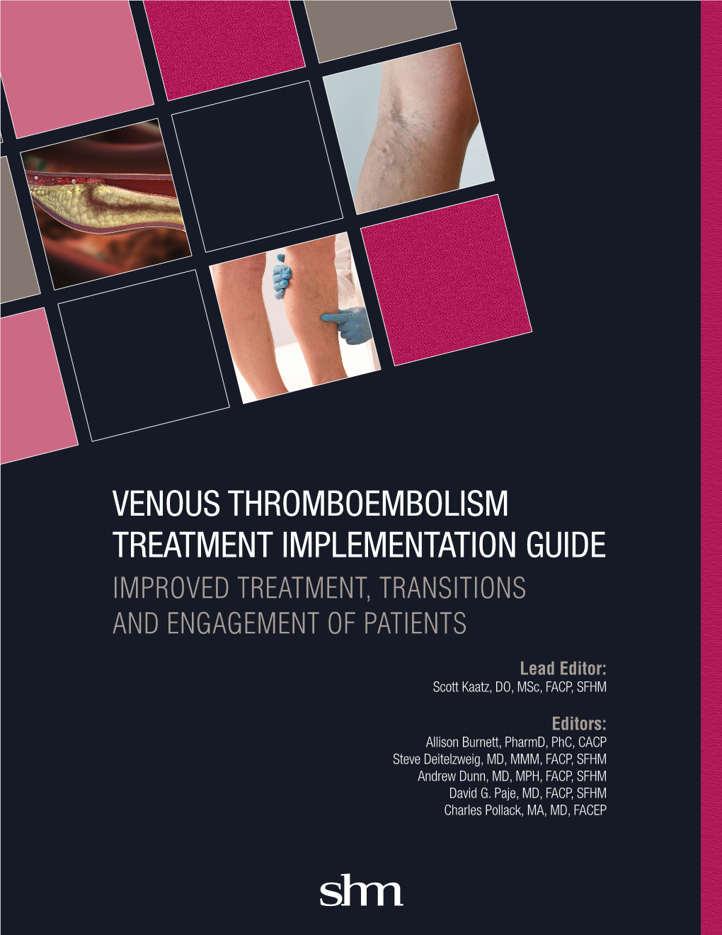 Venous Thromboembolism Treatment Implementation Guide Improved Treatment, Transitions and Engagement of Patients