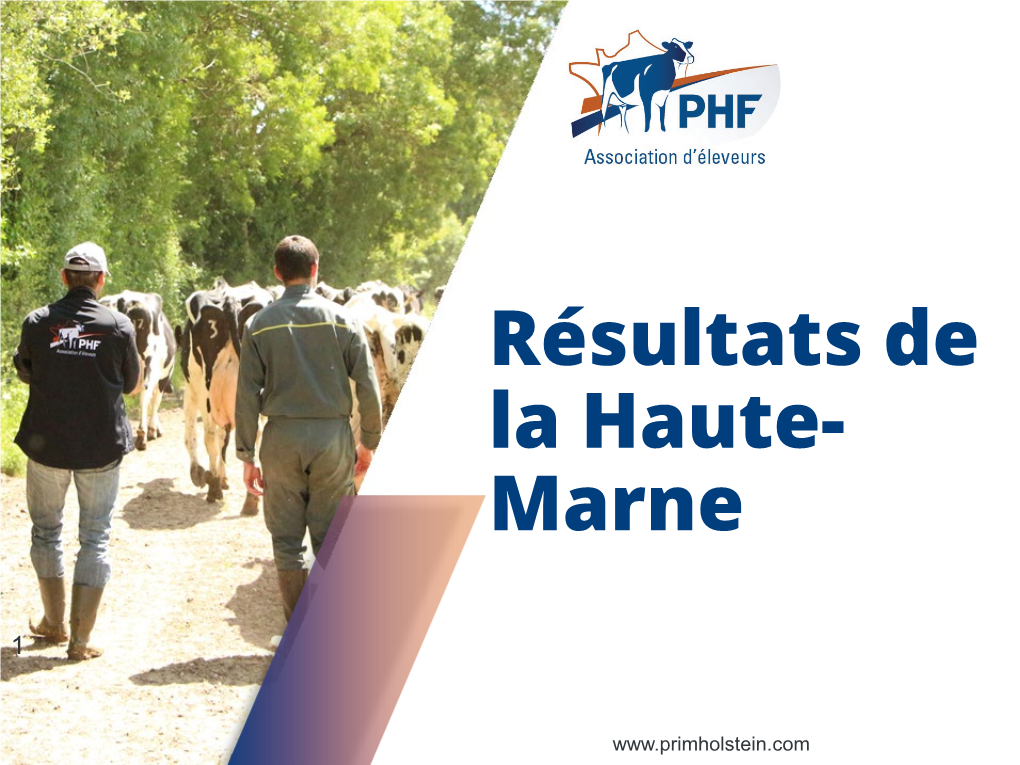 Résultats De La Haute- Marne