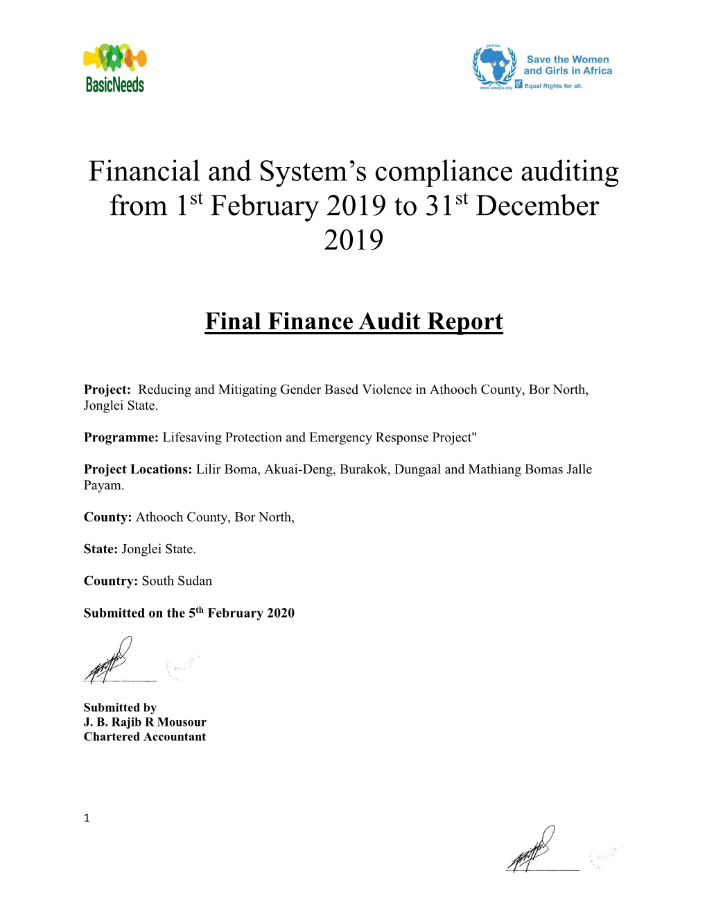 Financial and System's Compliance Auditing from 1St February 2019 To