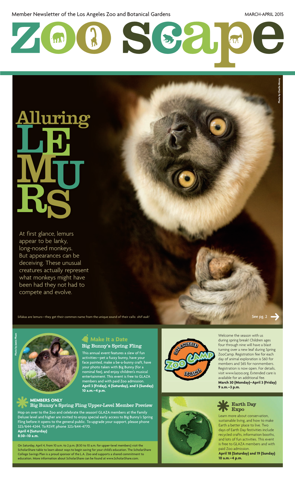 Alluring LE MU RS at First Glance, Lemurs Appear to Be Lanky, Long-Nosed Monkeys