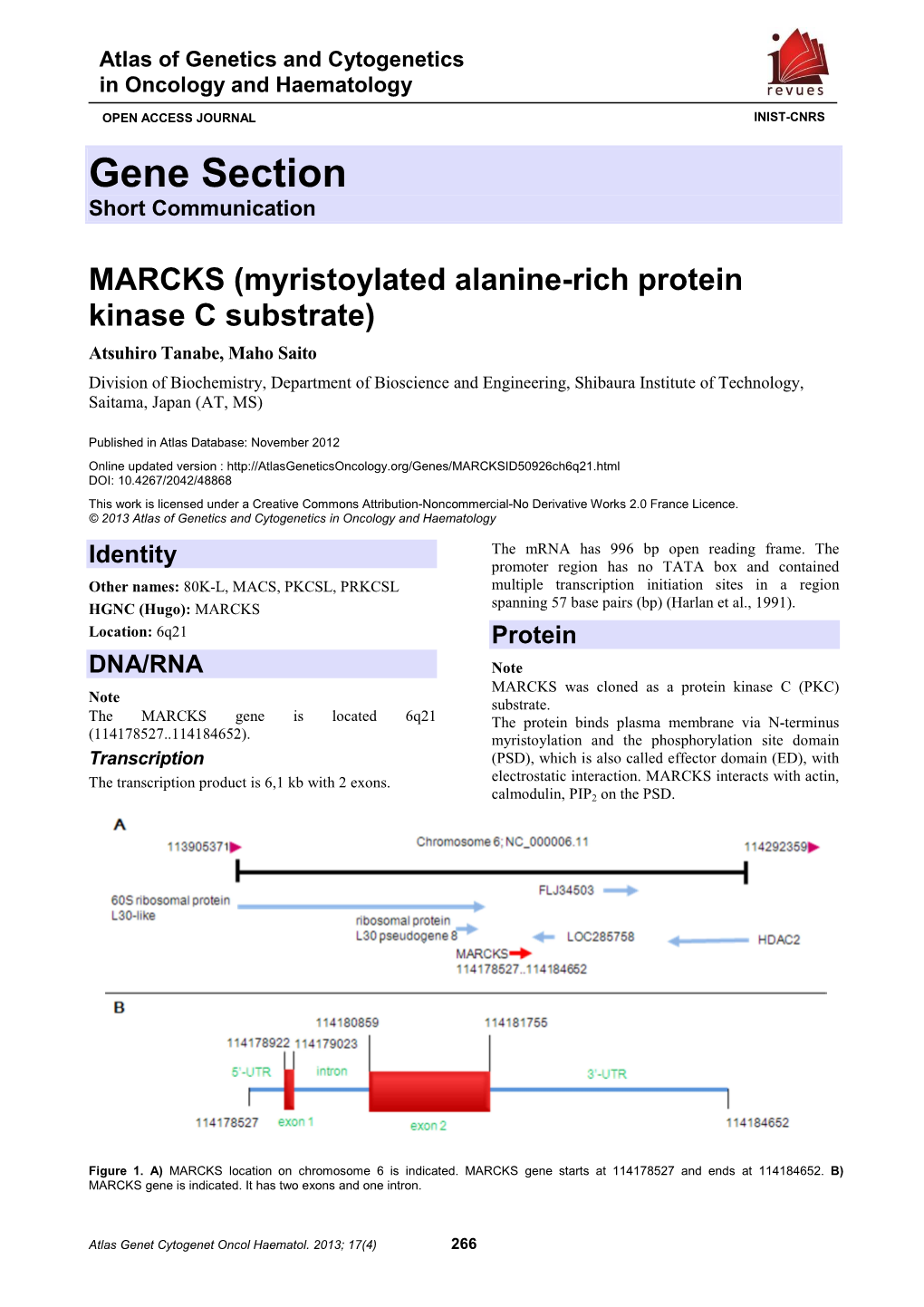 Myristoylated Alanine-Rich Protein Kinase C