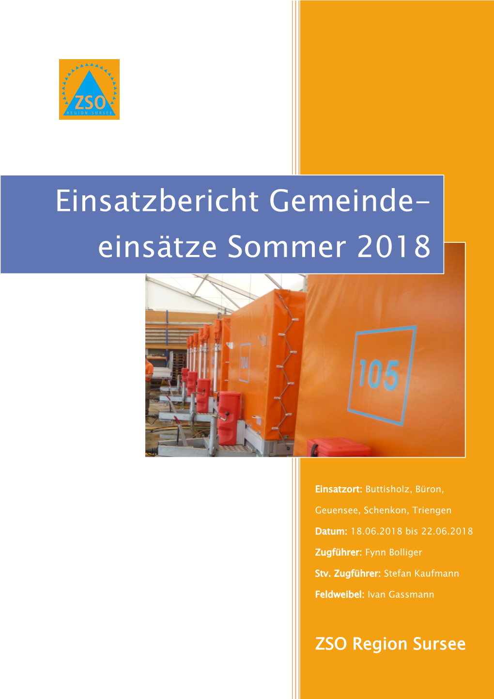 Einsatzbericht Gemeindeeinsätze Sommer 2018 Seite 1