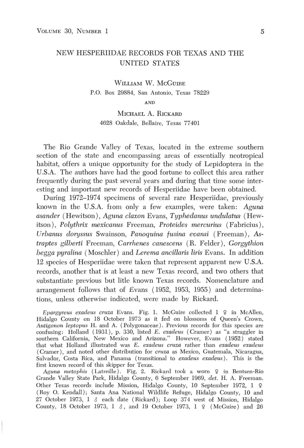 5 Asander (Hewitson), Aguna Claxon Evans, Typhedanus Undulatus (Hew- Itson), Polythrix Mexicanus Freeman, Proteides Mercurius (F