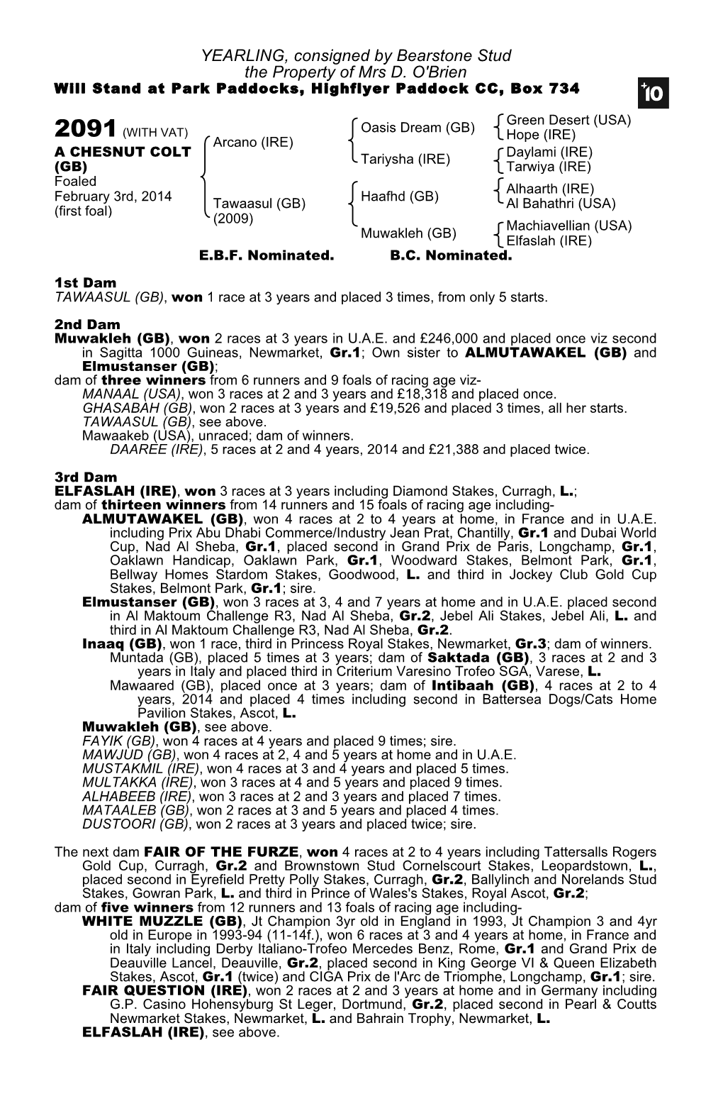 YEARLING, Consigned by Bearstone Stud the Property of Mrs D. O'brien Will Stand at Park Paddocks, Highflyer Paddock CC, Box 734