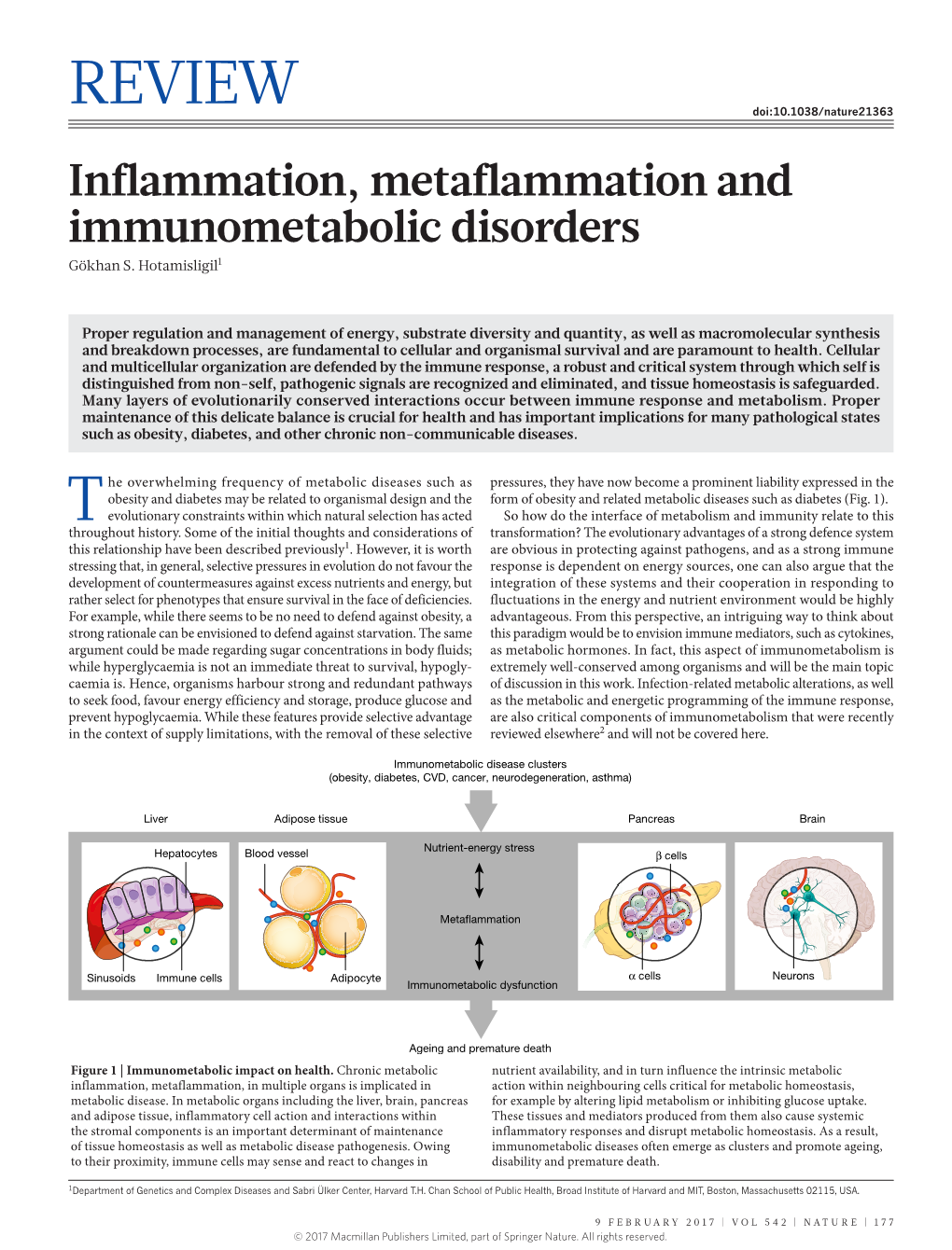 Inflammation, Metaflammation and Immunometabolic Disorders Gökhan S