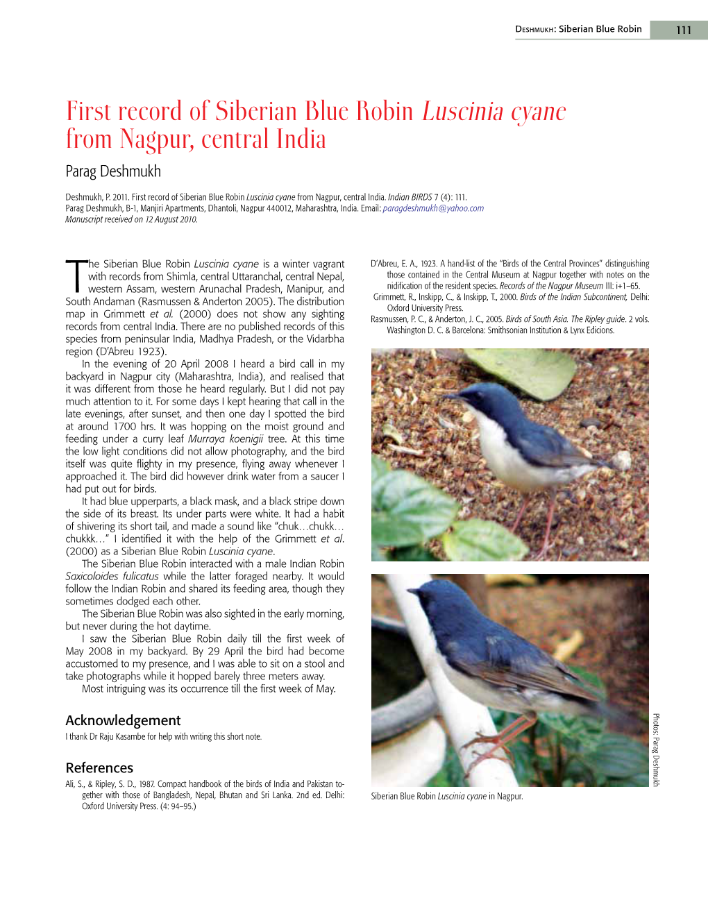 First Record of Siberian Blue Robin Luscinia Cyane from Nagpur, Central India Parag Deshmukh