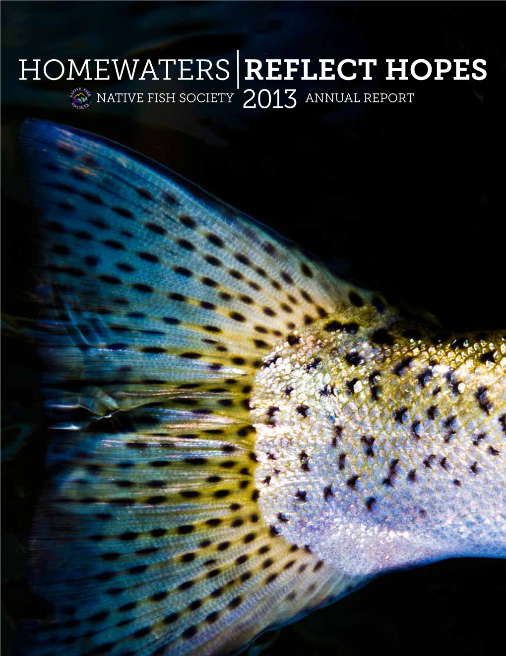 Homewaters Reflect Hopes Native Fish Society 2013 Annual Report