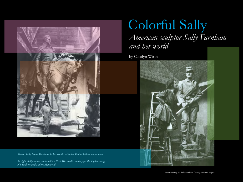 Colorful Sally American Sculptor Sally Farnham and Her World by Carolyn Wirth