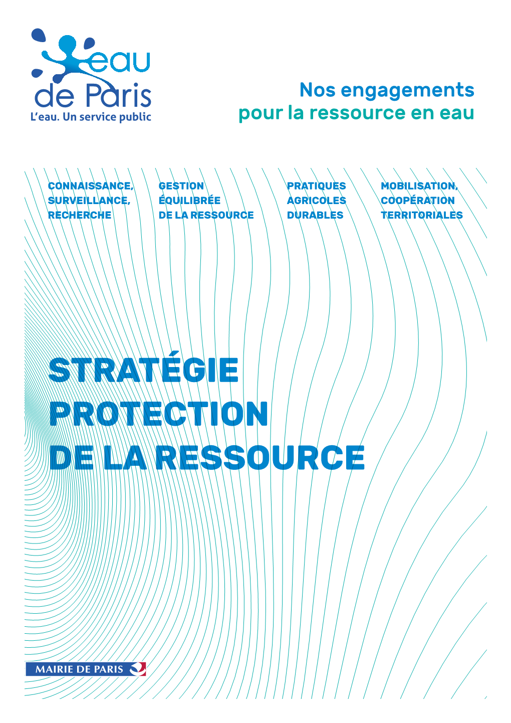 STRATÉGIE PROTECTION DE LA RESSOURCE Sommaire