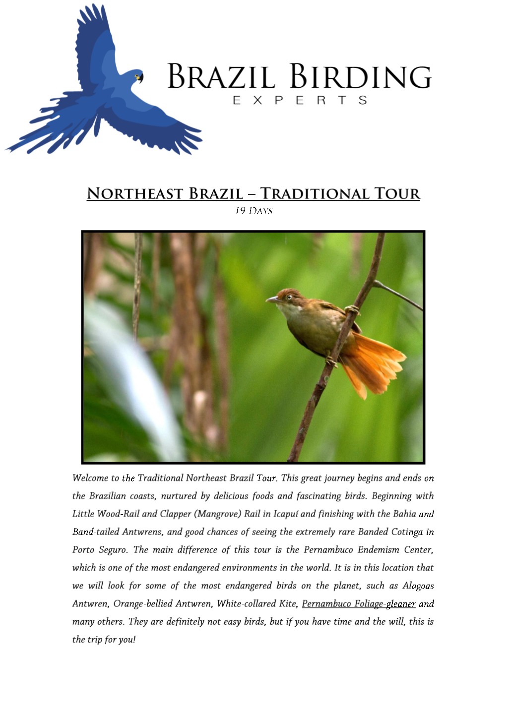 Northeast Brazil Traditional Tour