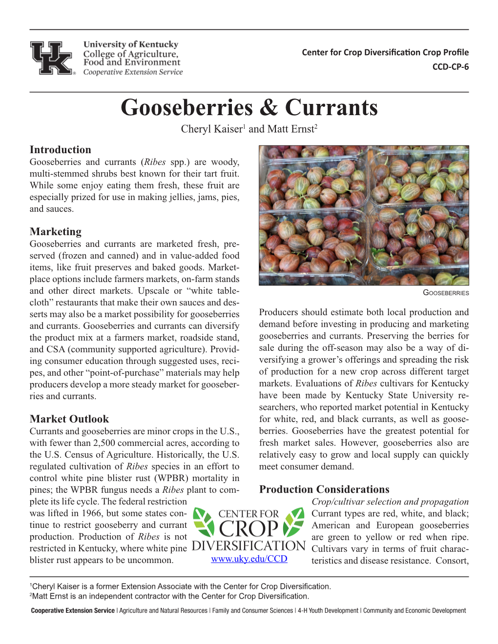 Gooseberries & Currants