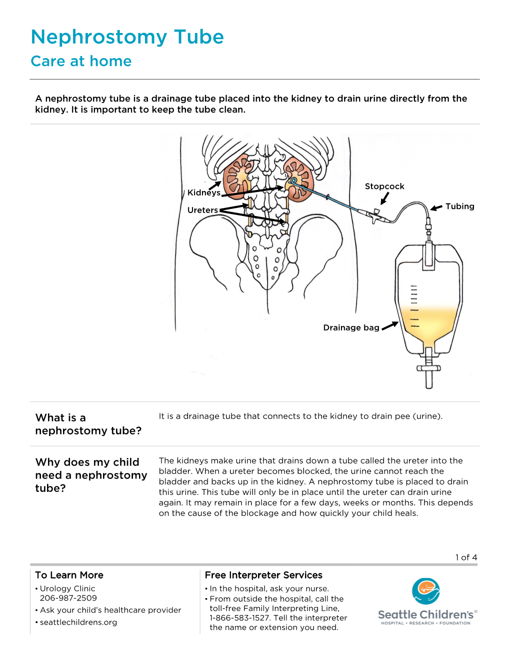 PE1074 Nephrostomy Tube: Care at Home