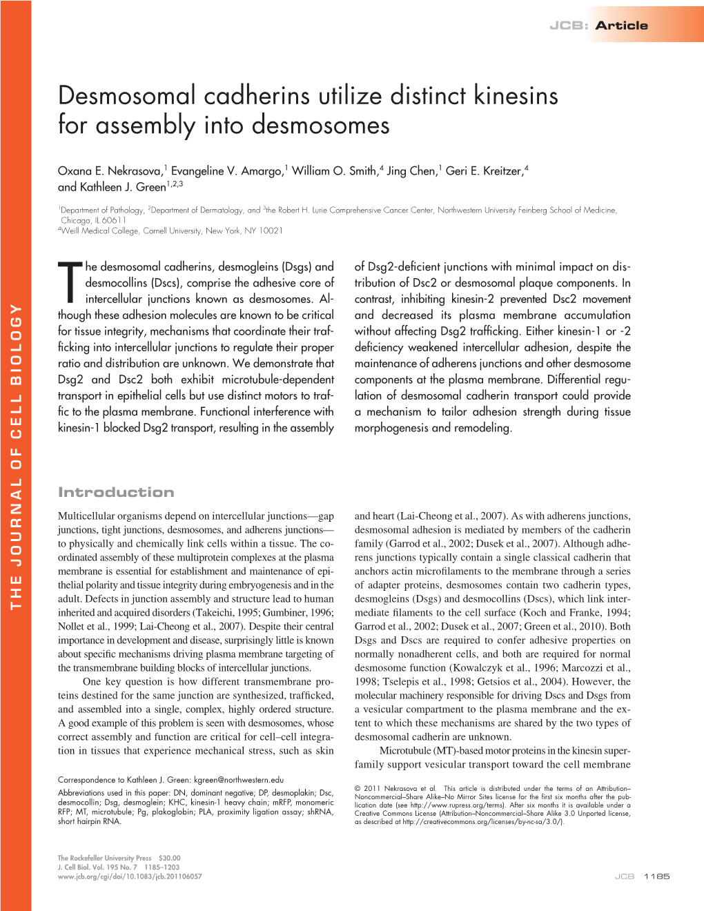Desmosomal Cadherins Utilize Distinct Kinesins for Assembly Into Desmosomes