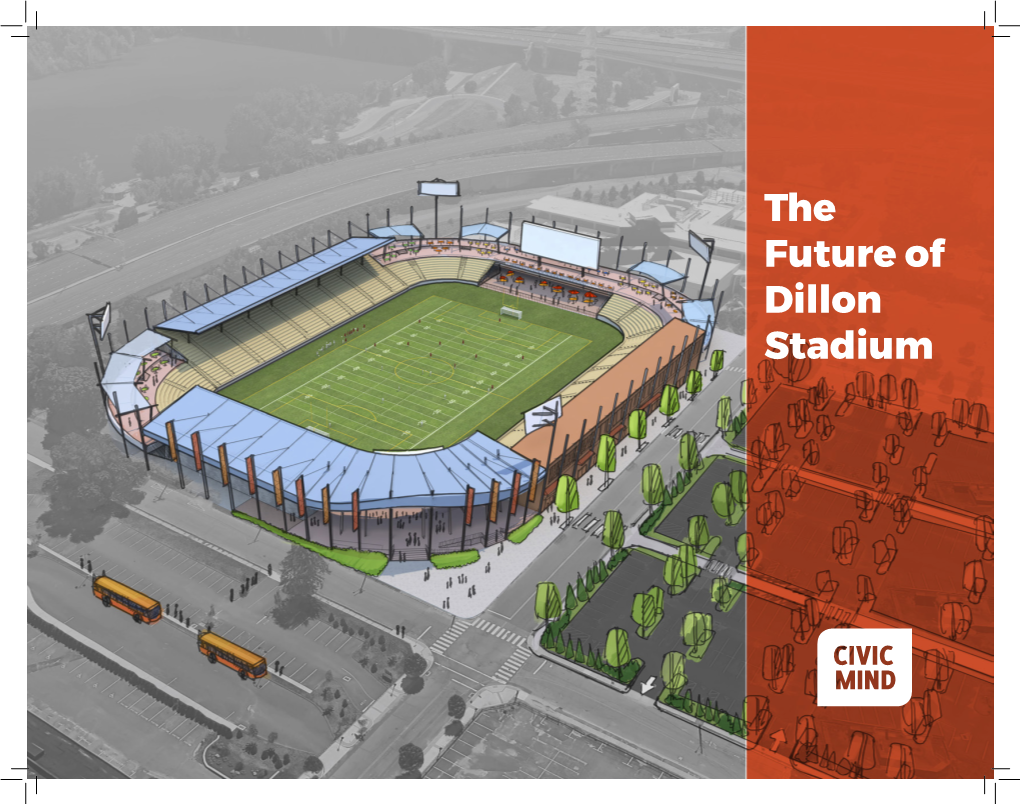 The Future of Dillon Stadium High-Quality Facilities for Our Families and Revenue Streams and Practical and Community Groups