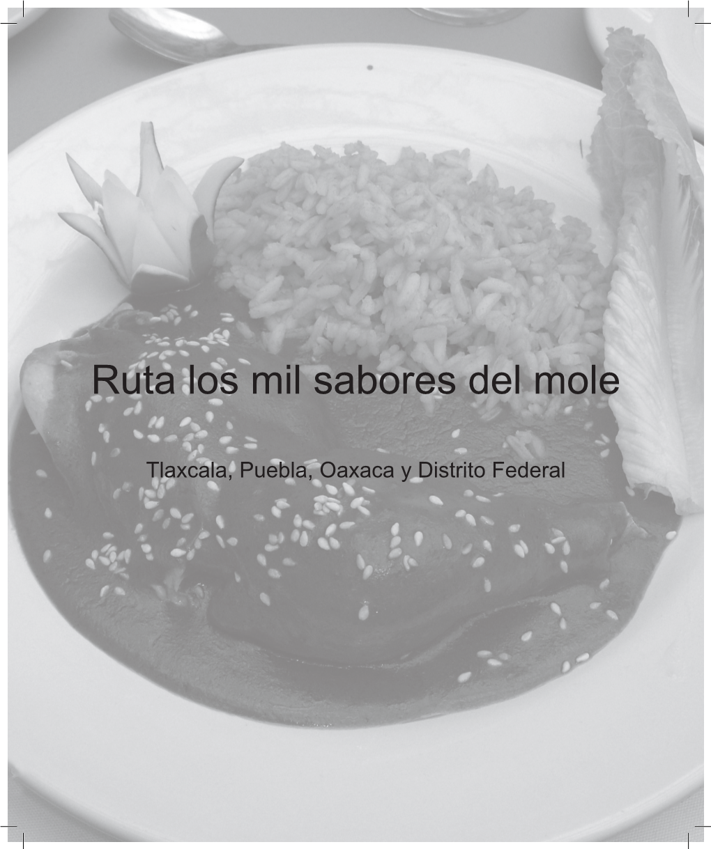 Ruta Los Mil Sabores Del Mole