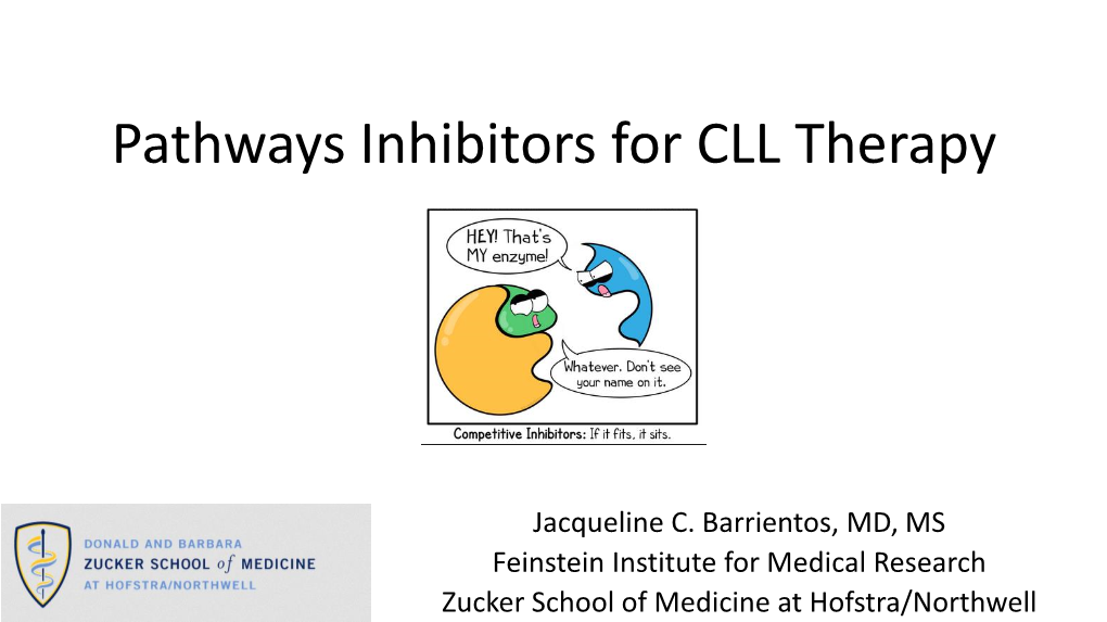 Pathways Inhibitors for CLL Therapy