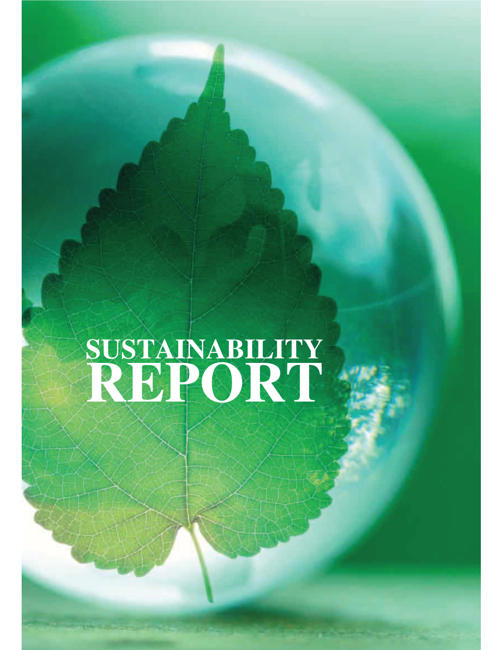 Sustainability Report