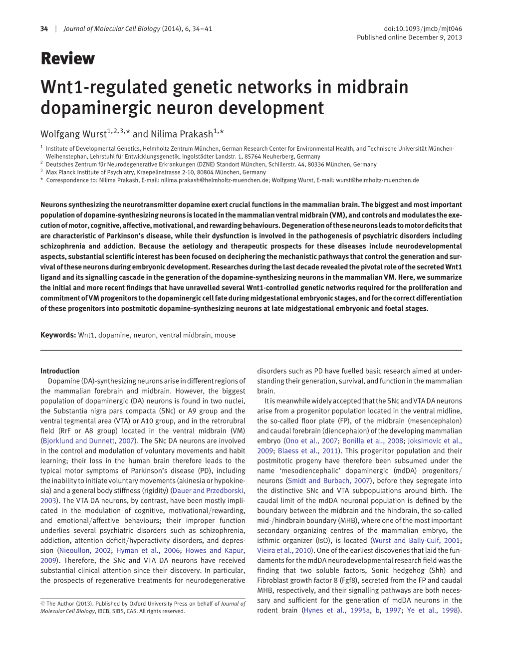 Wnt1-Regulated Genetic Networks in Midbrain Dopaminergic Neuron Development