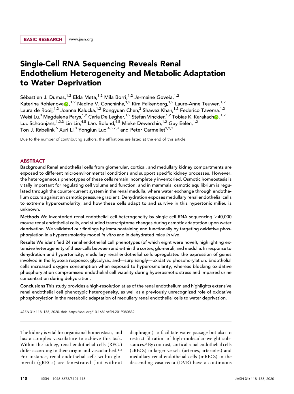 Single-Cell RNA Sequencing Reveals Renal Endothelium Heterogeneity and Metabolic Adaptation to Water Deprivation