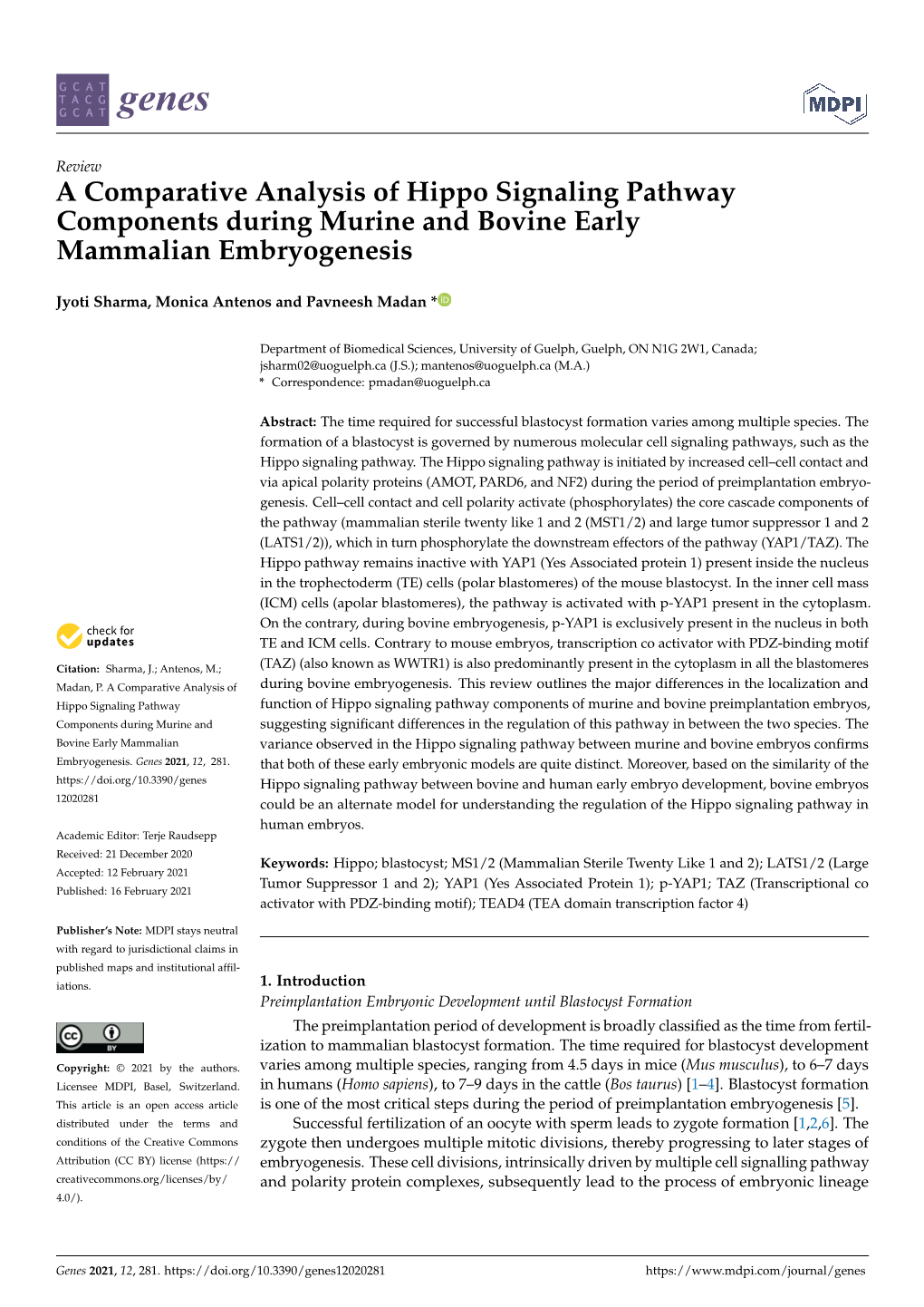 A Comparative Analysis of Hippo Signaling Pathway Components During Murine and Bovine Early Mammalian Embryogenesis