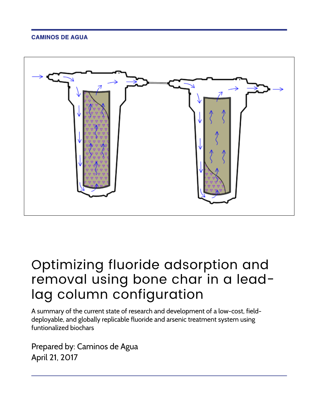 Optimizing Fluoride Adsorption and Removal Using Bone Char in a Lead