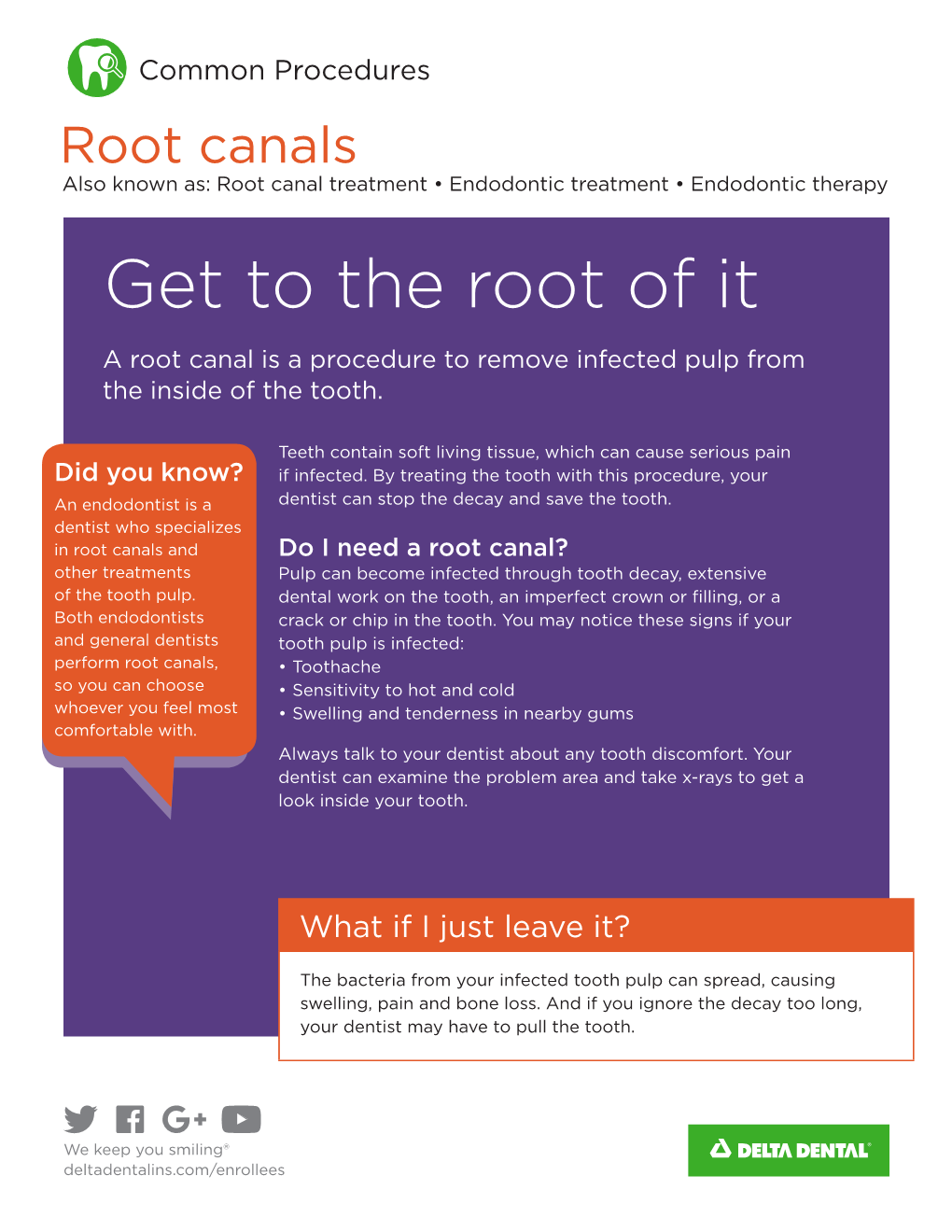 Root Canals Also Known As: Root Canal Treatment • Endodontic Treatment • Endodontic Therapy Get to the Root of It