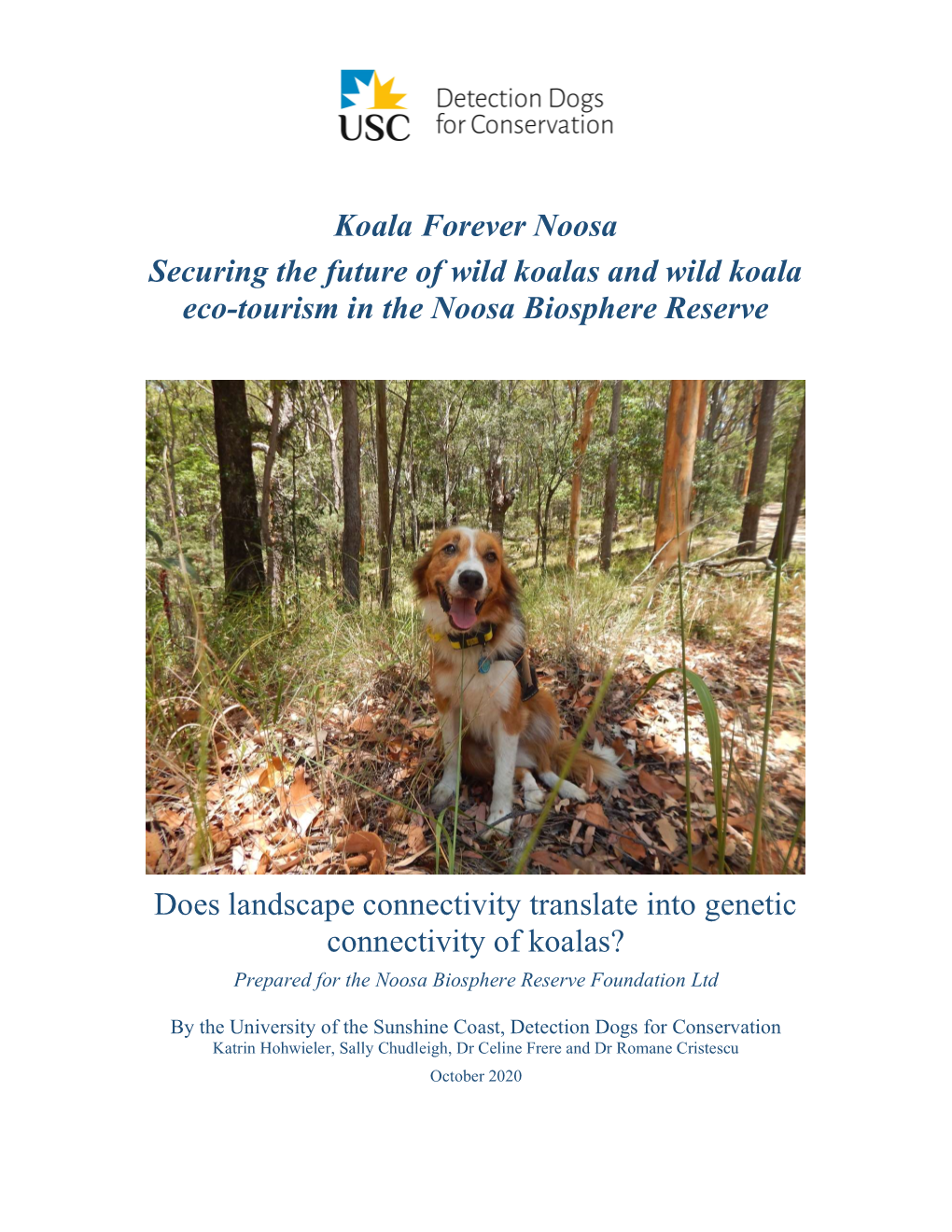 Koala Forever Noosa Securing the Future of Wild Koalas and Wild Koala Eco-Tourism in the Noosa Biosphere Reserve